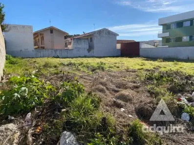 Lote/Terreno à venda, 924m² no Uvaranas, Ponta Grossa