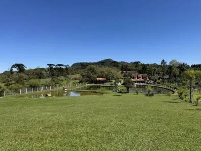 Fazenda/Sítio com 7 Quartos à venda, 400m² no Centro, Linha Nova