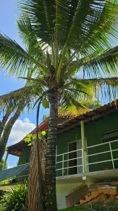 Fazenda/Sítio com 4 Quartos à venda, 1480m² no Chácaras Alpina, Valinhos