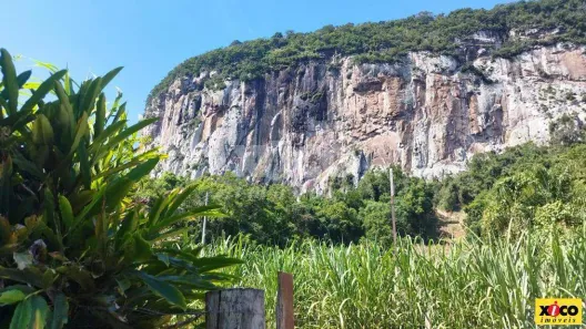 Lote/Terreno à venda, 5000m² no Linha Brasil Fundos, Nova Petrópolis