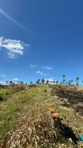 Lote/Terreno à venda, 500m² no Colégio, Ibiúna