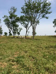 Fazenda/Sítio à venda, 3000000m² no , Bonito
