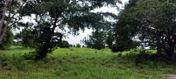 Fazenda/Sítio com 2 Quartos à venda, 60m² no , Britânia