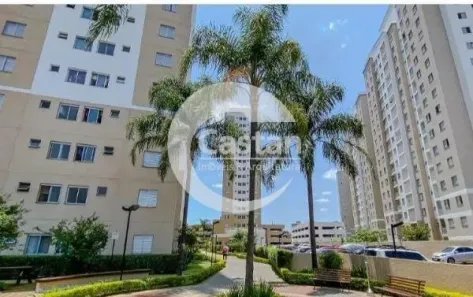 Apartamento com 2 Quartos à venda, 52m² no Vila Moreira, São Paulo
