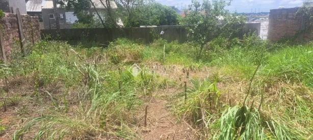 Lote/Terreno à venda, 506m² no Morro Santana, Porto Alegre