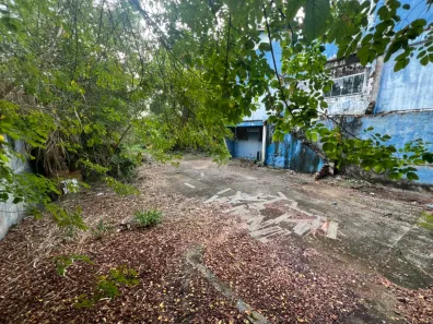 Lote/Terreno à venda, 600m² no Caminhos de San Conrado (Sousas), Campinas