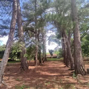 Fazenda/Sítio com 2 Quartos à venda, 180m² no Loteamento Recreio Campestre, São Carlos