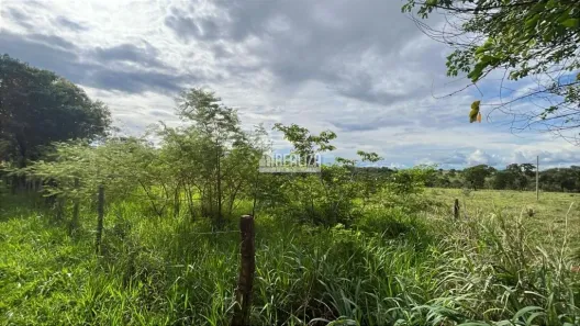 Fazenda/Sítio à venda, 21000m² no Recanto das Flores, Uberaba