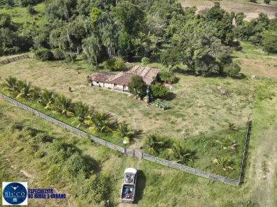 Fazenda/Sítio com 3 Quartos à venda, 6m² no Setor Central, Goiás