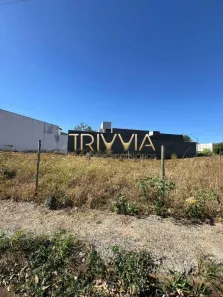 Lote/Terreno à venda, 255m² no Jardim Brasília, Uberlândia