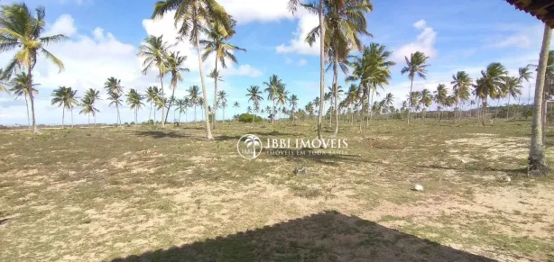 Lote/Terreno à venda, 2800m² no Alfredo Dutra, Santa Cruz Cabrália