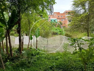Fazenda/Sítio com 1 Quarto à venda, 70m² no Cidade Ipava, São Paulo
