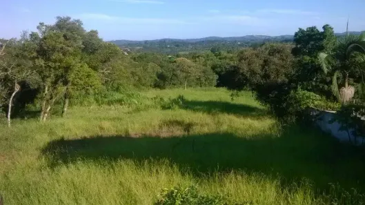 Lote/Terreno à venda, 4800m² no Águas Claras, Viamão