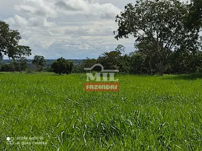 Fazenda/Sítio à venda, 500m² no , Montividiu do Norte