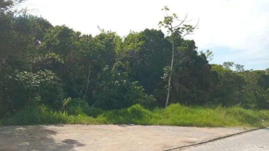 Lote/Terreno para alugar, 3380m² no Aririú, Palhoça