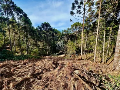 Lote/Terreno à venda, 1000m² no , Campos do Jordão