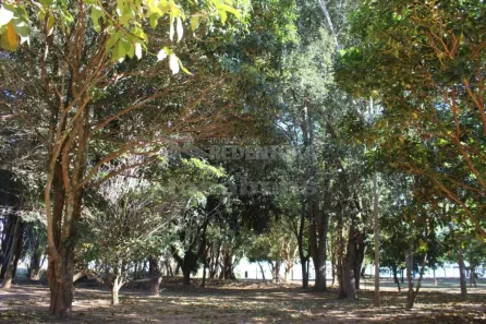 Fazenda/Sítio com 2 Quartos à venda, 84m² no , Adolfo