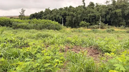 Lote/Terreno à venda, 1750m² no Jardim Santa Rosa, Maringá