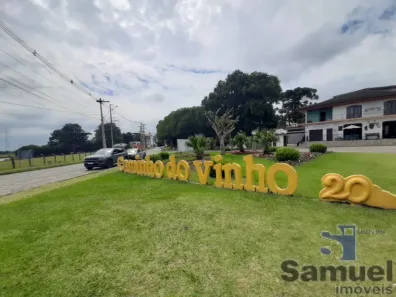 Lote/Terreno para alugar, 6000m² no Colônia Murici, São José dos Pinhais