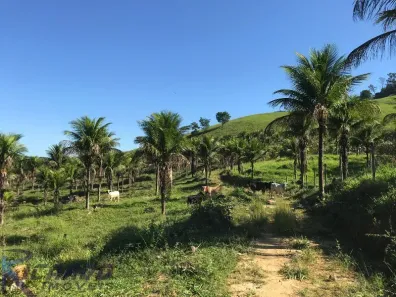 Fazenda/Sítio com 2 Quartos à venda, 717000m² no Comunidade Urbana de Jaboti, Guarapari