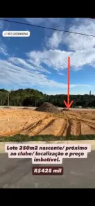 Lote/Terreno à venda, 250m² no Colônia Terra Nova, Manaus