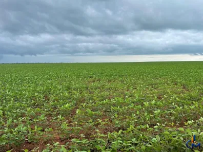 Fazenda/Sítio com 2 Quartos à venda, 72000000m² no Centro, Querência