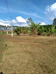 Fazenda/Sítio à venda, 10000m² no Centro, Mogi Mirim