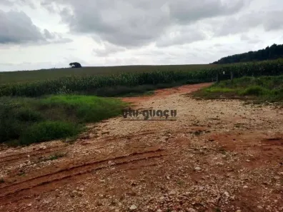 Fazenda/Sítio à venda, 3509000m² no Vila Barth, Itapetininga