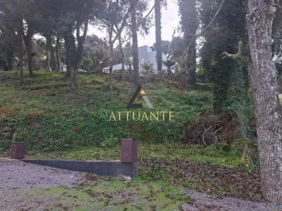 Lote/Terreno à venda, 1034m² no Pedancino, Caxias do Sul