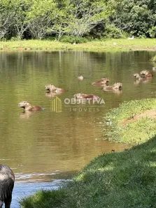 Lote/Terreno à venda, 1000m² no Lomba Grande, Novo Hamburgo