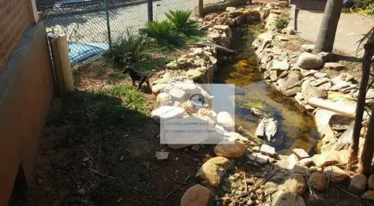 Fazenda/Sítio com 6 Quartos à venda, 600m² no Cidade Universitária, Campinas