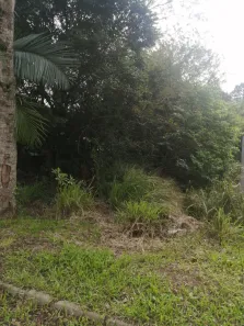 Lote/Terreno à venda, 385m² no Campestre, São Leopoldo