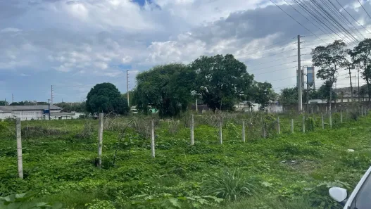 Lote/Terreno à venda, 10000m² no Distrito Industrial, São Luís