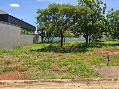 Lote/Terreno à venda, 420m² no Jardim Botânico, Uberlândia