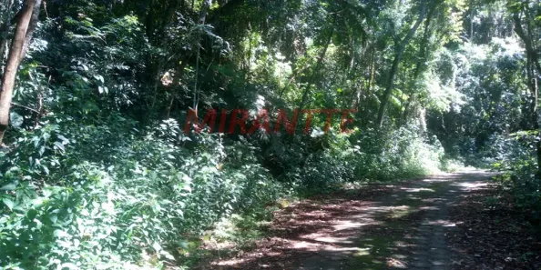 Lote/Terreno à venda, 1000m² no Caraguatá, Mairiporã