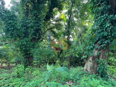 Lote/Terreno à venda, 763m² no Porto Seguro, Porto Seguro