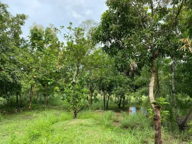 Fazenda/Sítio com 1 Quarto à venda, 17640m² no Jardim Presidente, Cuiabá
