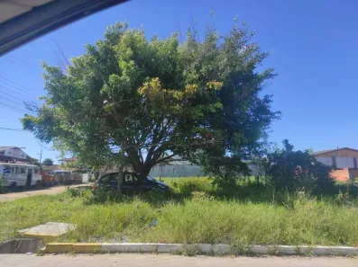 Lote/Terreno à venda, 420m² no Do Ubatuba, São Francisco do Sul