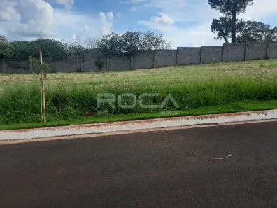 Lote/Terreno à venda, 260m² no Residencial Samambaia, São Carlos
