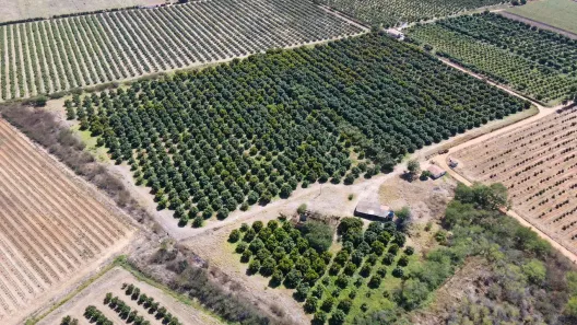 Fazenda/Sítio à venda, 10m² no , Petrolina