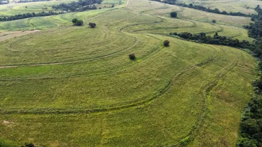 Fazenda/Sítio à venda, 774400m² no Área Rural de Porto Feliz, Porto Feliz