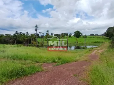 Fazenda/Sítio à venda, 1m² no , Guiratinga