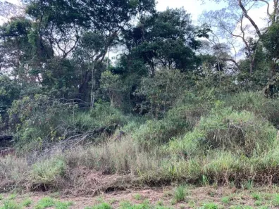 Lote/Terreno à venda, 1295m² no Mirante da Mata, Nova Lima