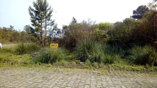 Lote/Terreno à venda, 450m² no Nossa Senhora da Conceição, Caxias do Sul