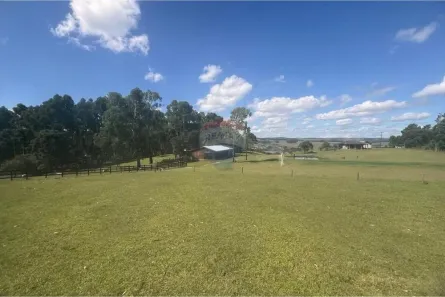 Fazenda/Sítio com 8 Quartos à venda, 600m² no Centro, São Francisco de Paula