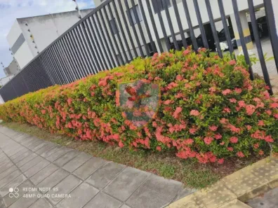 Flat com 1 Quarto para alugar, 35m² no Capim Macio, Natal