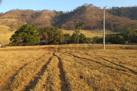 à venda, 348500m² no , Buritizal