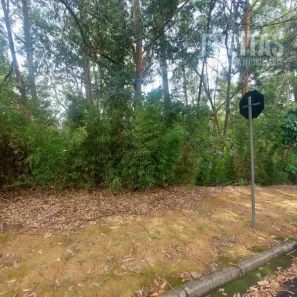 Lote/Terreno à venda, 1719m² no Residencial Tamboré, Barueri