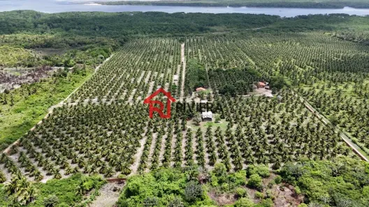 Lote/Terreno à venda, 160000m² no Iguaíba, Paço do Lumiar