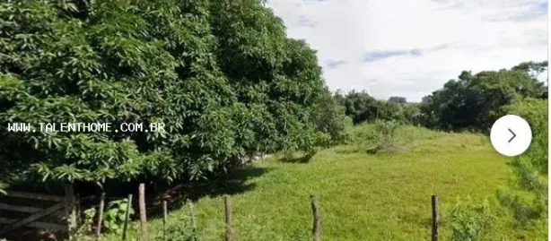 Lote/Terreno à venda, 2000m² no Brasília, Londrina